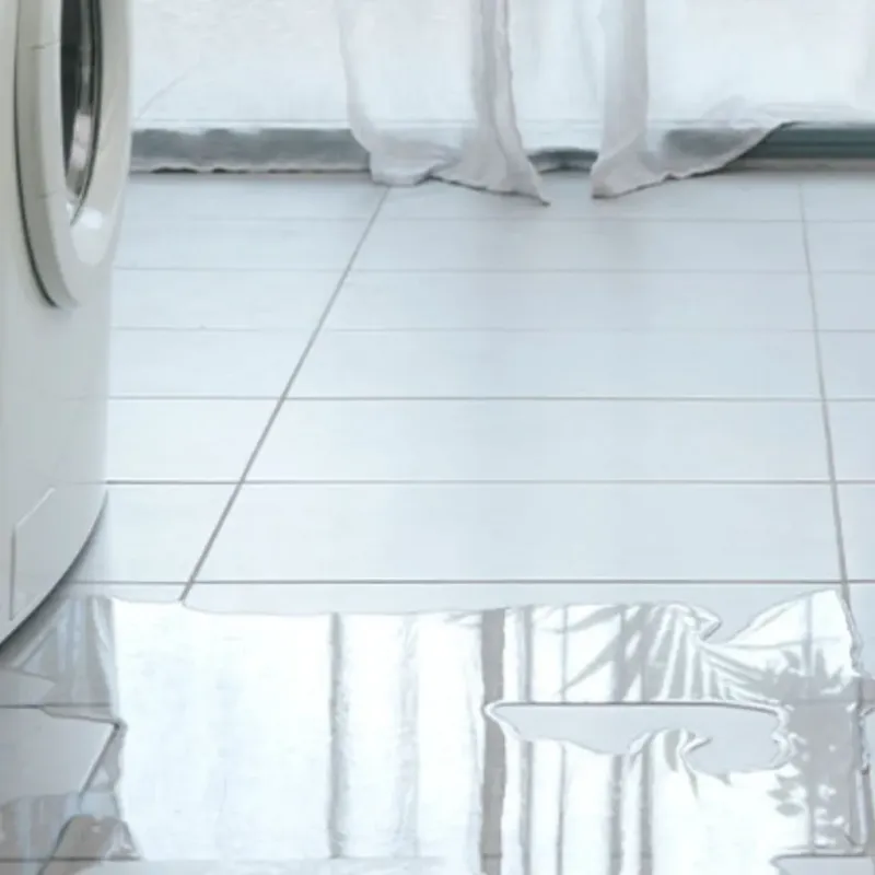 Appliance Leak Cleanup in Richwood, TX