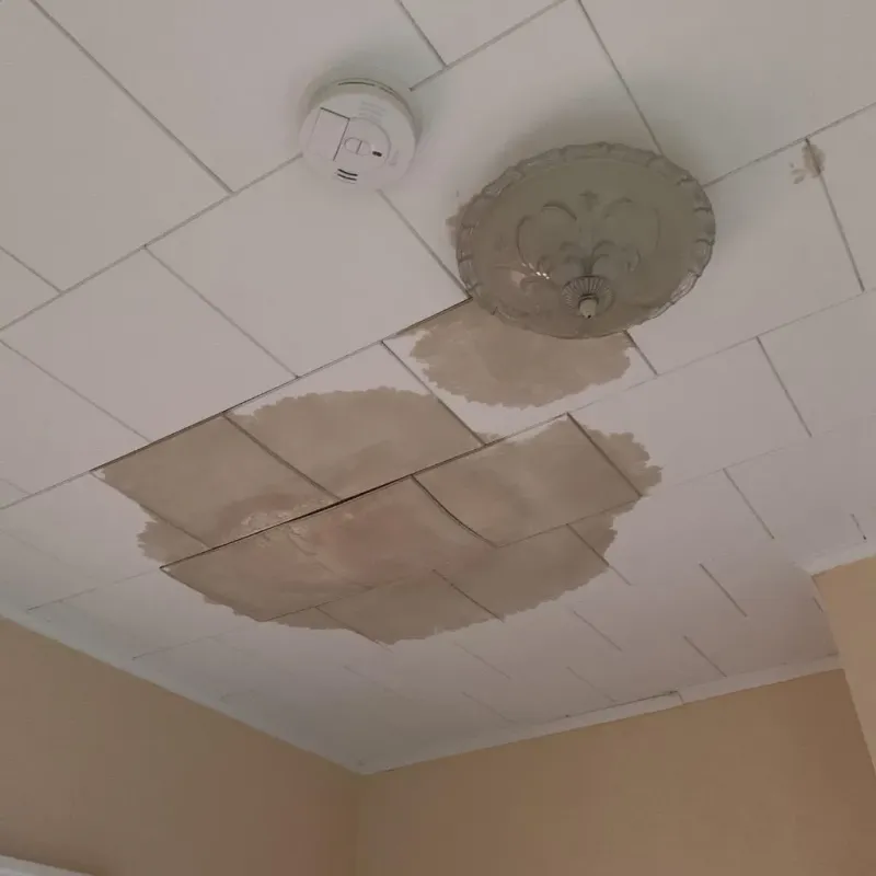 Ceiling Water Damage Repair in Richwood, TX