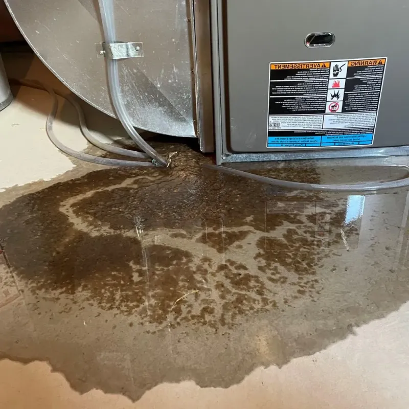 Pipe Burst and Leak Restoration in Richwood, TX