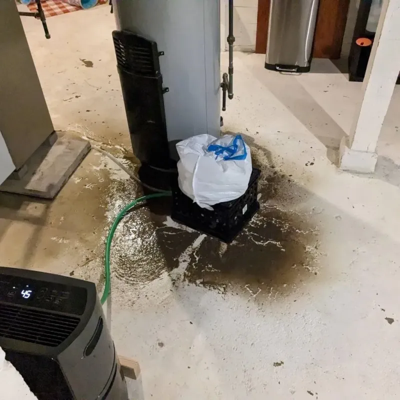 Sewage Backup Cleanup Service in Richwood, TX